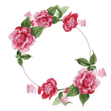 Sulu boya pembe Kamelya tırmanma çiçek. Botanik çiçek. Çerçeve kenarlığı süsleme Meydanı. Arka plan, doku, sarıcı desen, çerçeve veya kenarlık için Aquarelle kır çiçeği.