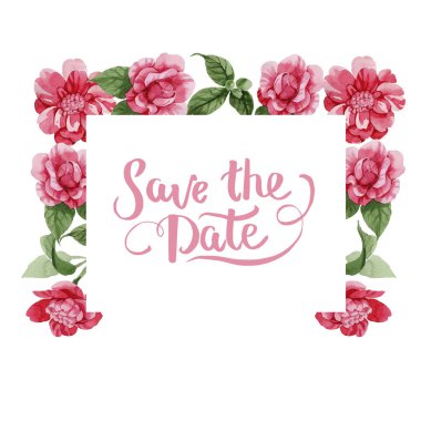 Sulu boya pembe Kamelya tırmanma çiçek. Botanik çiçek. Çerçeve kenarlığı süsleme Meydanı. Arka plan, doku, sarıcı desen, çerçeve veya kenarlık için Aquarelle kır çiçeği.