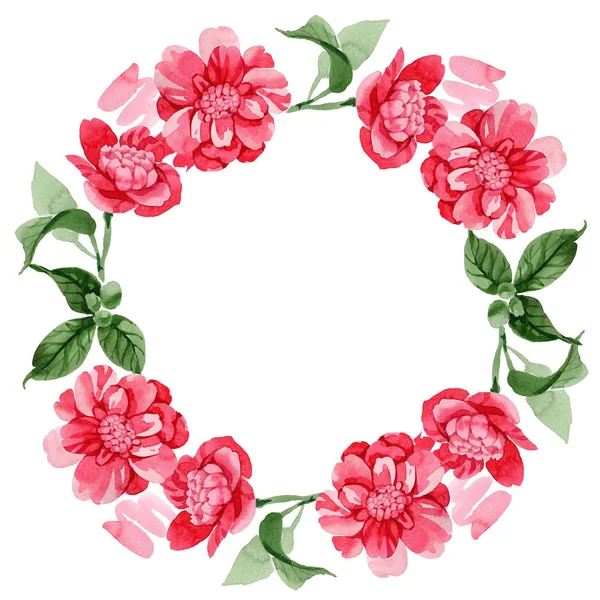 Sulu boya pembe Kamelya tırmanma çiçek. Botanik çiçek. Çerçeve kenarlığı süsleme Meydanı. Arka plan, doku, sarıcı desen, çerçeve veya kenarlık için Aquarelle kır çiçeği.