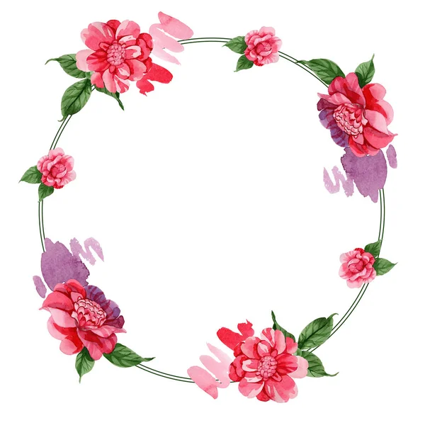 Aquarell Rosa Kamelie Kletterblume Blütenbotanische Blume Rahmen Bordüre Ornament Quadrat — Stockfoto