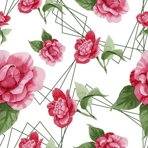 Акварель Розовая Камбала Восходящий Цветок Цветочный Ботанический Цветок Бесшовный Рисунок — стоковое фото
