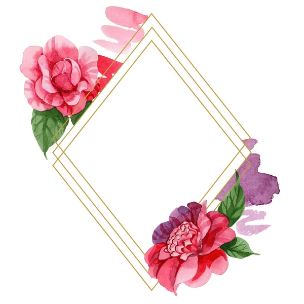 Aquarel Roze Camellia Klimmen Bloem Floral Botanische Bloem Frame Grens — Stockfoto