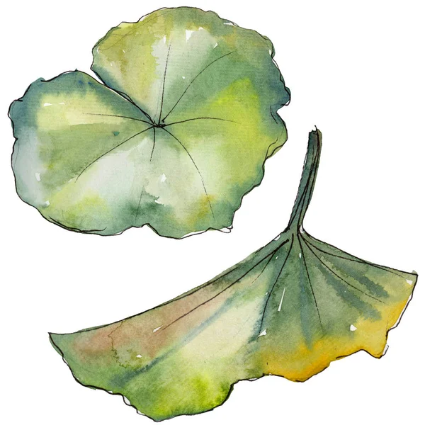 Aquarelle Fleur Lotus Coloré Fleur Botanique Florale Élément Illustration Isolé — Photo