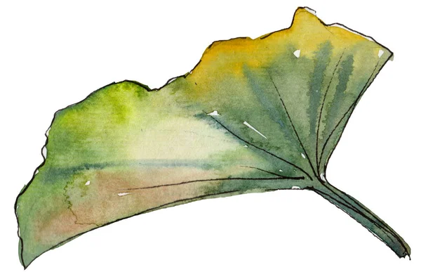 Aquarel Groene Lotus Blad Floral Botanische Bloem Geïsoleerde Illustratie Element — Stockfoto