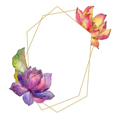 Sulu boya renkli lotus çiçeği. Botanik çiçek. Çerçeve kenarlığı süsleme Meydanı. Arka plan, doku, sarıcı desen, çerçeve veya kenarlık için Aquarelle kır çiçeği.