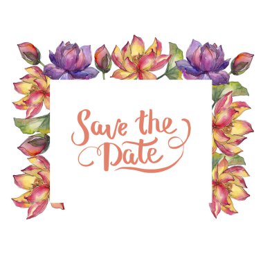 Sulu boya renkli lotus çiçeği. Botanik çiçek. Çerçeve kenarlığı süsleme Meydanı. Arka plan, doku, sarıcı desen, çerçeve veya kenarlık için Aquarelle kır çiçeği.