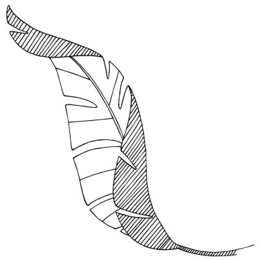 Vektör tropikal izole bir suluboya tarzında yaprak. Arka plan, doku, sarıcı desen, çerçeve veya sınır vektör yaprak.