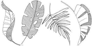 Vektör tropikal izole bir suluboya tarzında yaprak. Arka plan, doku, sarıcı desen, çerçeve veya sınır vektör yaprak.