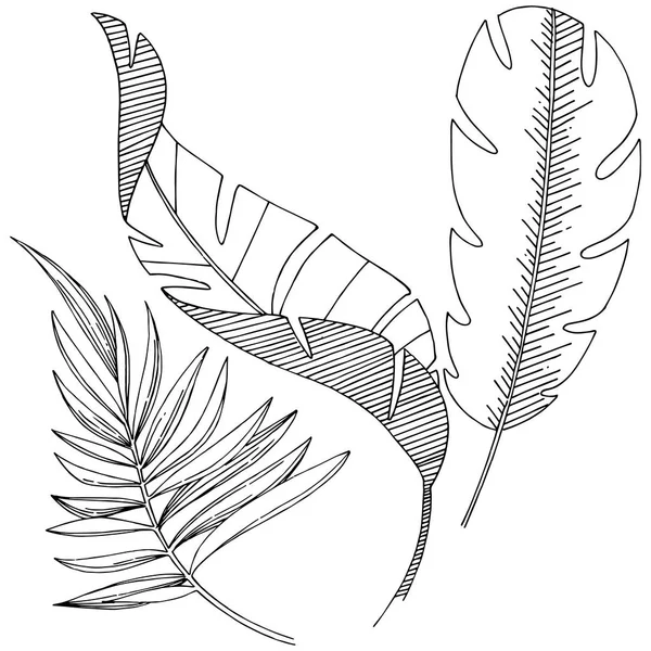 Vektor Tropischen Blättern Einem Aquarell Stil Isoliert Vektorblatt Für Hintergrund — Stockvektor