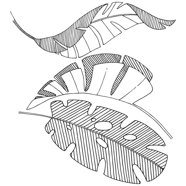 Векторные Тропические Листья Акварельном Стиле Изолированы Векторный Лист Фона Текстуры — стоковый вектор