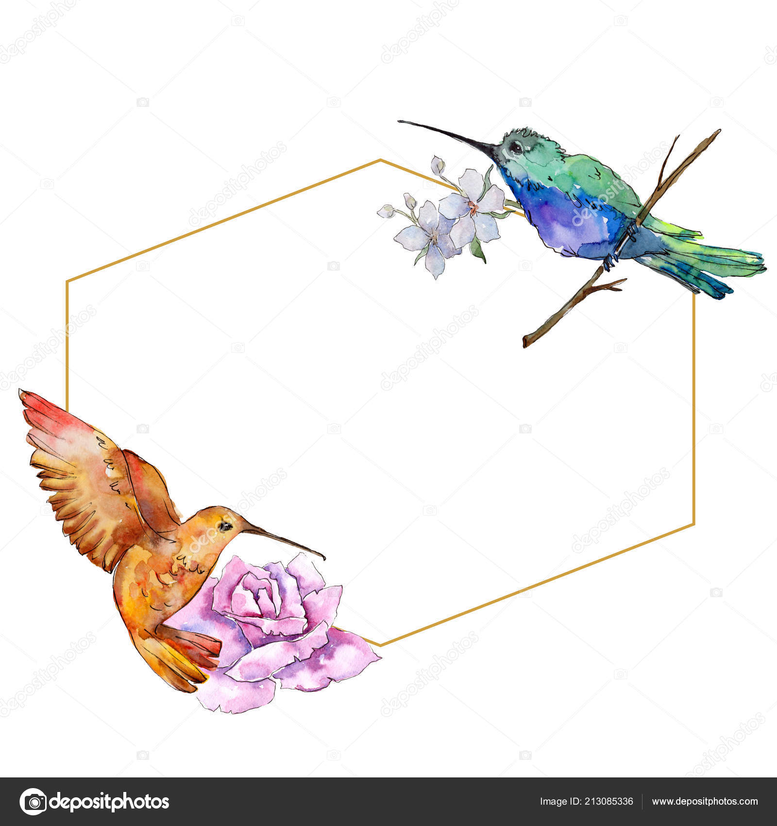 水彩風で野生動物の空鳥カラフルなコリブリ フレーム枠飾りスクエア 野生の自由飛行翼を持つ鳥 テクスチャ フレーム 枠線または入れ墨の  Aquarelle— ストックイラストレーション by © MyStocks #213085336, image size:1600x1700