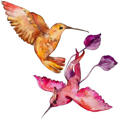 Gökyüzü kuş renkli colibri bir yaban hayatı izole suluboya stili tarafından içinde. Vahşi özgürlük, uçan kanatlı bir kuş. Aquarelle kuş arka plan, doku, desen, çerçeve, kenarlık veya dövme için.