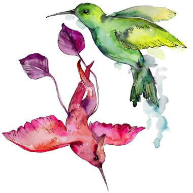 Gökyüzü kuş renkli colibri bir yaban hayatı izole suluboya stili tarafından içinde. Vahşi özgürlük, uçan kanatlı bir kuş. Aquarelle kuş arka plan, doku, desen, çerçeve, kenarlık veya dövme için.