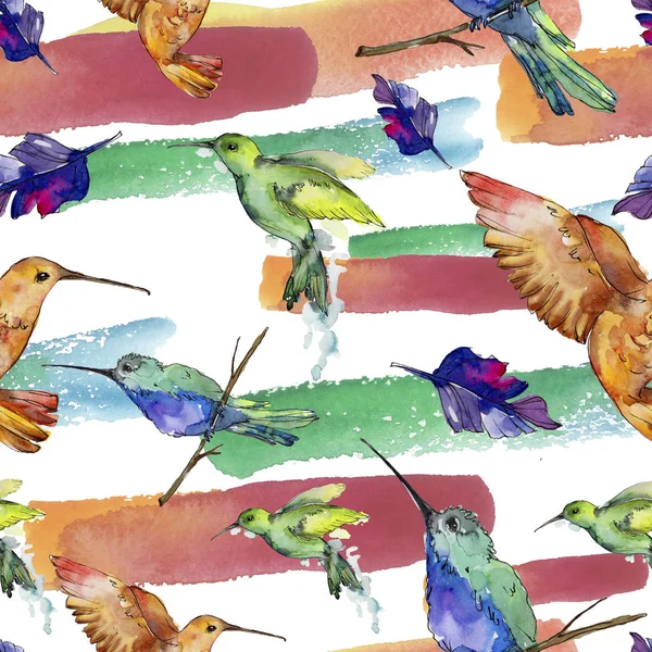 Sky bird colorful colibri in a wildlife by watercolor style. Seamless background pattern. Fabric wallpaper print texture. Bird with a flying wings. Aquarelle bird for background, texture, pattern.