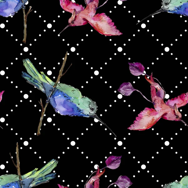 Sky bird colorful colibri in a wildlife by watercolor style. Seamless background pattern. Fabric wallpaper print texture. Bird with a flying wings. Aquarelle bird for background, texture, pattern.