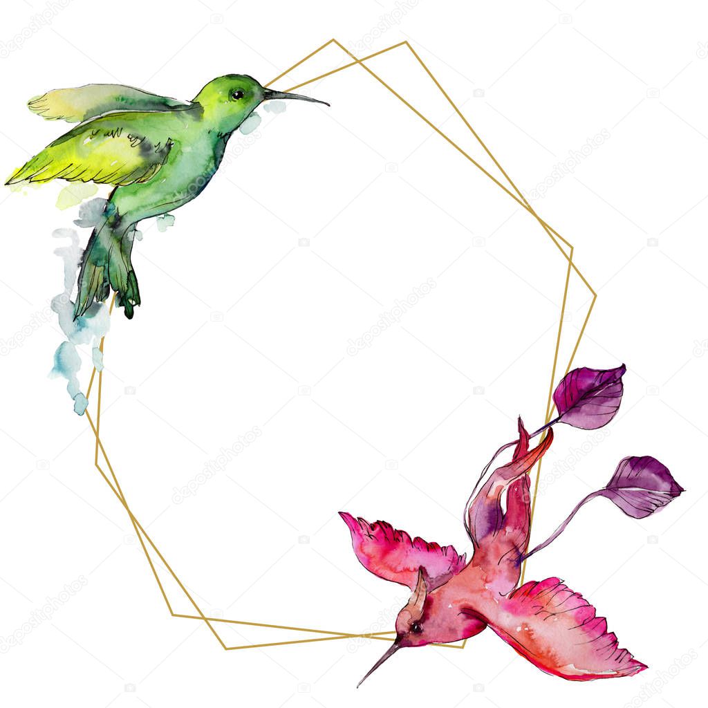 Sky bird colorful colibri in a wildlife by watercolor style. Frame border ornament square. Wild freedom, bird with a flying wings. Aquarelle bird for background, texture, frame, border or tattoo.