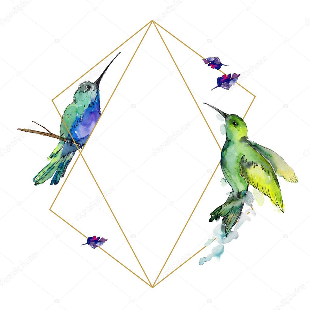 Sky bird colorful colibri in a wildlife by watercolor style. Frame border ornament square. Wild freedom, bird with a flying wings. Aquarelle bird for background, texture, frame, border or tattoo.