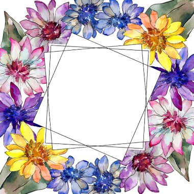 Sulu boya renkli güller çiçek. Botanik çiçek. Çerçeve kenarlığı süsleme Meydanı. Arka plan, doku, sarıcı desen, çerçeve veya kenarlık için Aquarelle kır çiçeği.