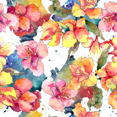 Sulu boya renkli alstroemeria çiçek. Botanik çiçek. Sorunsuz arka plan deseni. Kumaş duvar kağıdı yazdırma doku. Arka plan, doku, sarıcı desen, kenarlık için Aquarelle kır çiçeği.