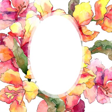 Sulu boya renkli alstroemeria çiçek. Botanik çiçek. Çerçeve kenarlığı süsleme Meydanı. Arka plan, doku, sarıcı desen, çerçeve veya kenarlık için Aquarelle kır çiçeği.