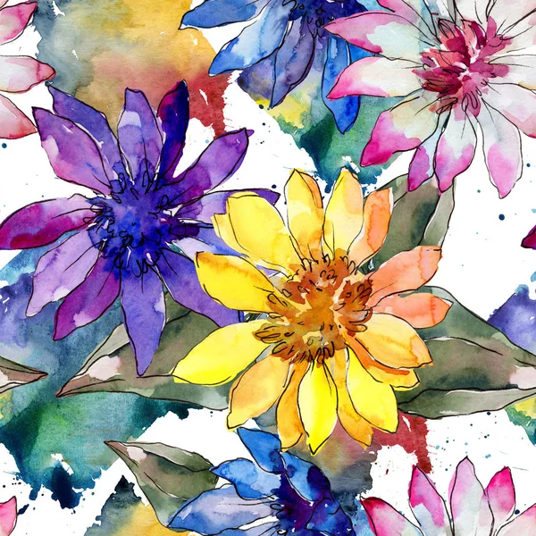 Květinový Akvarel Barevné Africká Sedmikráska Květinové Botanické Květin Vzor Bezešvé — Stock fotografie