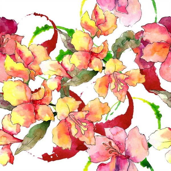 Aquarelle Colorée Alstroemeria Fleur Fleur Botanique Florale Modèle Fond Sans — Photo