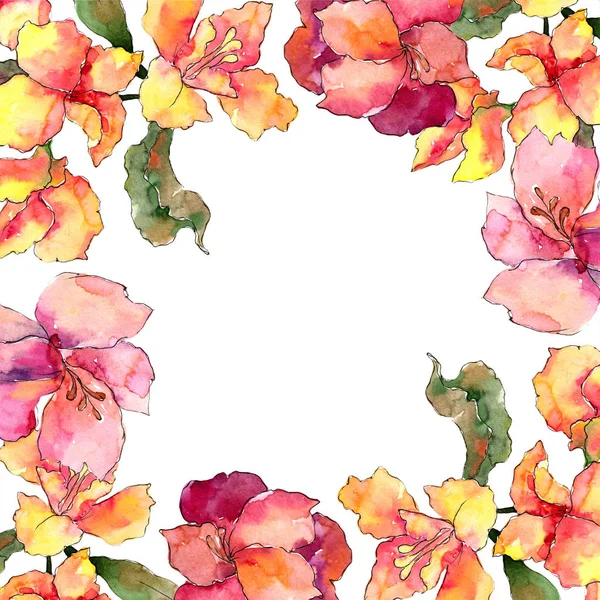水彩五颜六色的 Alstroemeria 花卉植物花 框边框装饰广场 包装图案 框架或边框的水彩画野花 — 图库照片