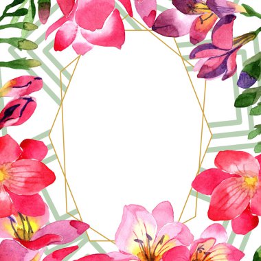 Sulu boya pembe frezya çiçek. Botanik çiçek. Çerçeve kenarlığı süsleme Meydanı. Arka plan, doku, sarıcı desen, çerçeve veya kenarlık için Aquarelle kır çiçeği.