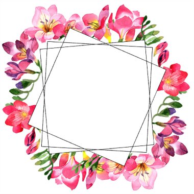 Sulu boya pembe frezya çiçek. Botanik çiçek. Çerçeve kenarlığı süsleme Meydanı. Arka plan, doku, sarıcı desen, çerçeve veya kenarlık için Aquarelle kır çiçeği.