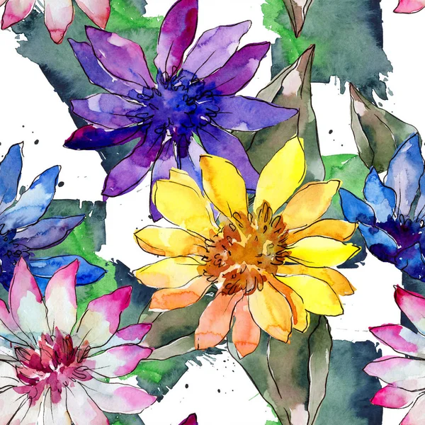 Акварель Красочный Африканский Цветок Маргаритки Цветочный Ботанический Цветок Бесшовный Рисунок — стоковое фото