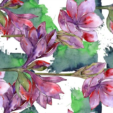 Suluboya mor amaryllis çiçek. Botanik çiçek. Sorunsuz arka plan deseni. Kumaş duvar kağıdı yazdırma doku. Arka plan, doku, sarıcı desen, kenarlık için Aquarelle kır çiçeği.