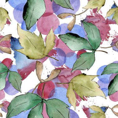 Yeşil akçaağaç yaprakları. Yaprak bitki botanik bahçe çiçek yaprakları. Sorunsuz arka plan deseni. Kumaş duvar kağıdı yazdırma doku. Aquarelle yaprak için arka plan, doku, sarıcı desen, çerçeve veya kenarlık.