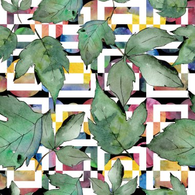 Yeşil akçaağaç yaprakları. Yaprak bitki botanik bahçe çiçek yaprakları. Sorunsuz arka plan deseni. Kumaş duvar kağıdı yazdırma doku. Aquarelle yaprak için arka plan, doku, sarıcı desen, çerçeve veya kenarlık.