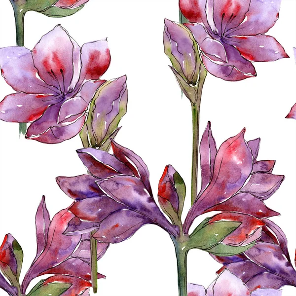 Aquarell Lila Amaryllis Blume Blütenbotanische Blume Nahtlose Hintergrundmuster Textur Für — Stockfoto