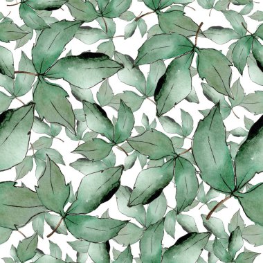 Yeşil akçaağaç yaprakları. Yaprak bitki botanik bahçe çiçek yaprakları. Sorunsuz arka plan deseni. Kumaş duvar kağıdı yazdırma doku. Aquarelle yaprak için arka plan, doku, sarıcı desen, çerçeve veya kenarlık.