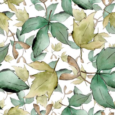 Yeşil akçaağaç yaprakları. Yaprak bitki botanik bahçe çiçek yaprakları. Sorunsuz arka plan deseni. Kumaş duvar kağıdı yazdırma doku. Aquarelle yaprak için arka plan, doku, sarıcı desen, çerçeve veya kenarlık.