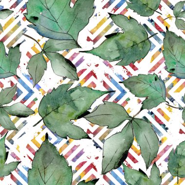 Yeşil akçaağaç yaprakları. Yaprak bitki botanik bahçe çiçek yaprakları. Sorunsuz arka plan deseni. Kumaş duvar kağıdı yazdırma doku. Aquarelle yaprak için arka plan, doku, sarıcı desen, çerçeve veya kenarlık.