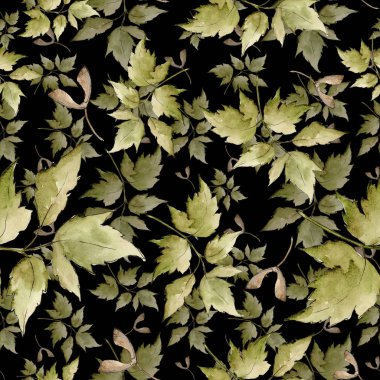 Yeşil akçaağaç yaprakları. Yaprak bitki botanik bahçe çiçek yaprakları. Sorunsuz arka plan deseni. Kumaş duvar kağıdı yazdırma doku. Aquarelle yaprak için arka plan, doku, sarıcı desen, çerçeve veya kenarlık.