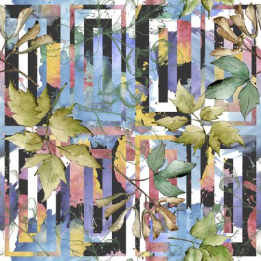 Yeşil akçaağaç yaprakları. Yaprak bitki botanik bahçe çiçek yaprakları. Sorunsuz arka plan deseni. Kumaş duvar kağıdı yazdırma doku. Aquarelle yaprak için arka plan, doku, sarıcı desen, çerçeve veya kenarlık.