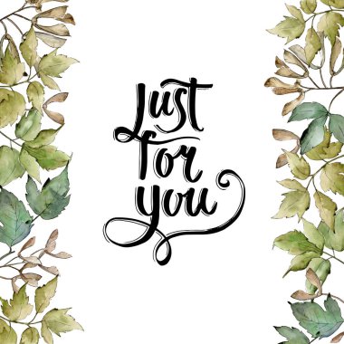 Yeşil akçaağaç yaprakları. Yaprak bitki botanik bahçe çiçek yaprakları. Çerçeve kenarlığı süsleme Meydanı. Aquarelle yaprak için arka plan, doku, sarıcı desen, çerçeve veya kenarlık.