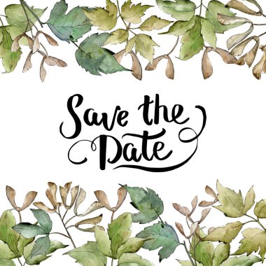 Yeşil akçaağaç yaprakları. Yaprak bitki botanik bahçe çiçek yaprakları. Çerçeve kenarlığı süsleme Meydanı. Aquarelle yaprak için arka plan, doku, sarıcı desen, çerçeve veya kenarlık.