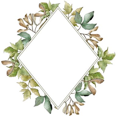 Yeşil akçaağaç yaprakları. Yaprak bitki botanik bahçe çiçek yaprakları. Çerçeve kenarlığı süsleme Meydanı. Aquarelle yaprak için arka plan, doku, sarıcı desen, çerçeve veya kenarlık.