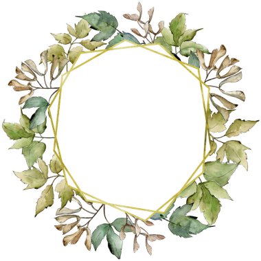Yeşil akçaağaç yaprakları. Yaprak bitki botanik bahçe çiçek yaprakları. Çerçeve kenarlığı süsleme Meydanı. Aquarelle yaprak için arka plan, doku, sarıcı desen, çerçeve veya kenarlık.