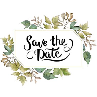 Yeşil akçaağaç yaprakları. Yaprak bitki botanik bahçe çiçek yaprakları. Çerçeve kenarlığı süsleme Meydanı. Aquarelle yaprak için arka plan, doku, sarıcı desen, çerçeve veya kenarlık.