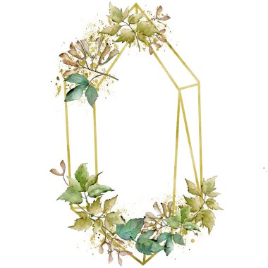 Yeşil akçaağaç yaprakları. Yaprak bitki botanik bahçe çiçek yaprakları. İzole illüstrasyon öğesi. Elmas taş takı mineral. Aquarelle yaprak için arka plan, doku, sarıcı desen, çerçeve veya kenarlık.