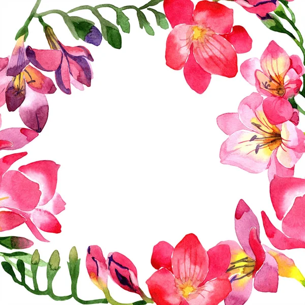 Watercolor Pink Freesia Flower Floral Botanical Flower Frame Border Ornament — Stock Photo, Image