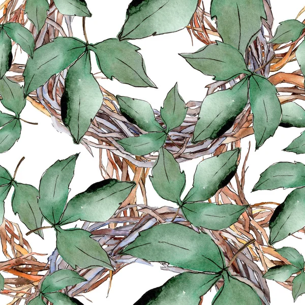 Зеленые Кленовые Листья Цветочная Листва Ботанического Сада Бесшовный Рисунок Фона — стоковое фото