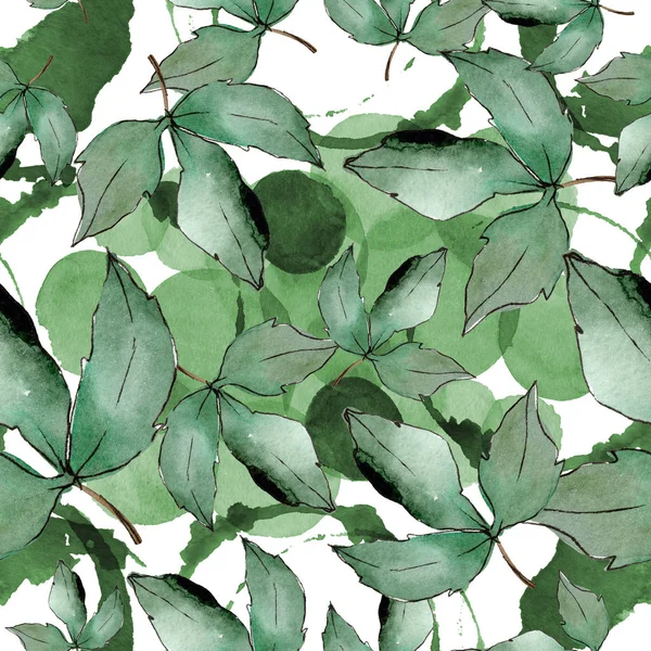 Green maple leaves. Leaf plant botanical garden floral foliage. Seamless background pattern. Fabric wallpaper print texture. Aquarelle leaf for background, texture, wrapper pattern, frame or border.