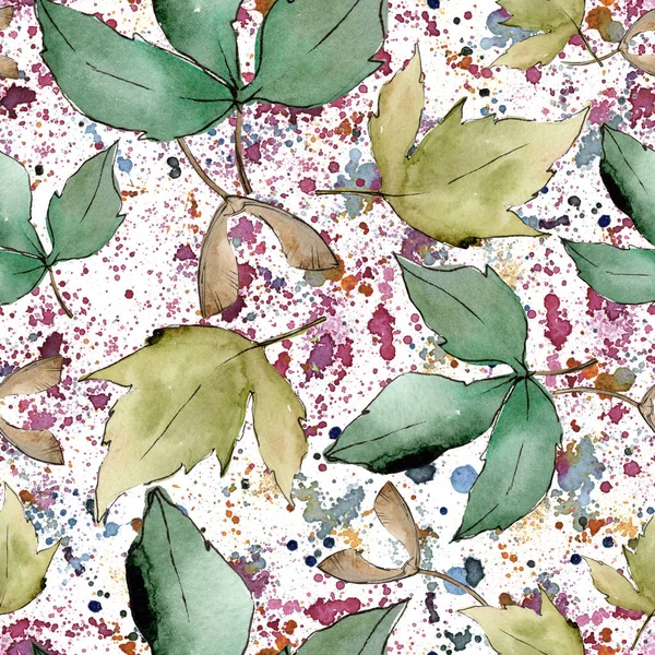 Зеленые Кленовые Листья Цветочная Листва Ботанического Сада Бесшовный Рисунок Фона — стоковое фото