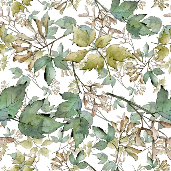 绿枫树叶 叶植物植物园花叶 无缝的背景图案 织物墙纸打印纹理 包装图案 框架或边框的水彩画叶 — 图库照片